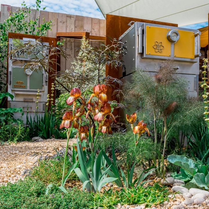 Harrison Oven’s garden at the RHS Chelsea Flower Show 2022